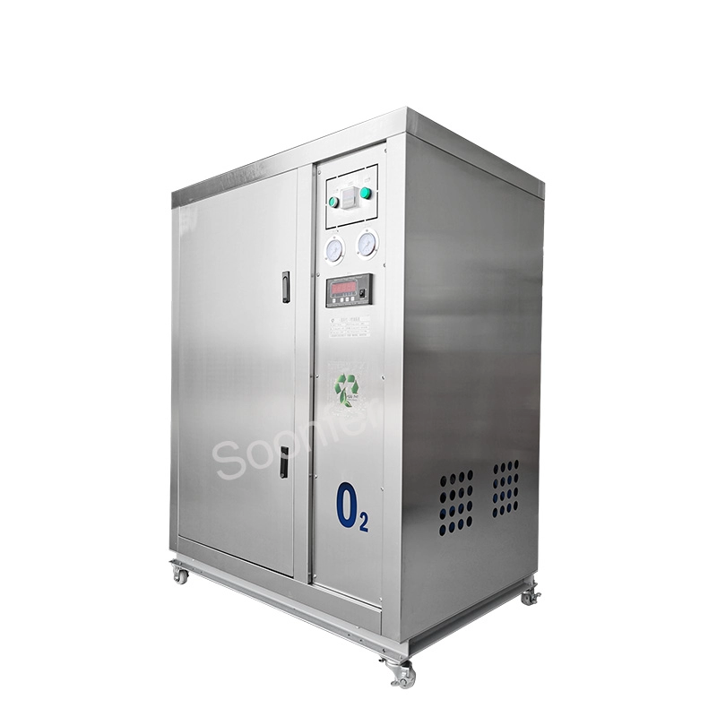 China 10l pequeño psa médico generador de oxígeno planta precio de la máquina