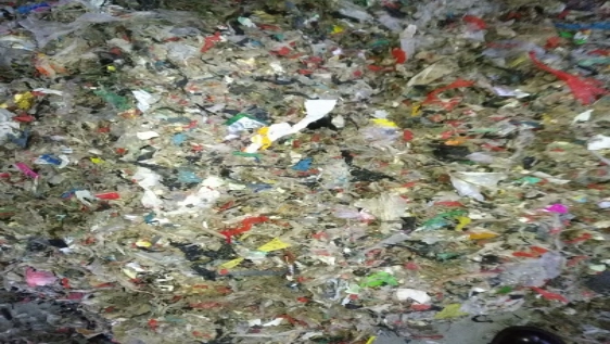 Ganulador de una sola etapa de residuos plásticos