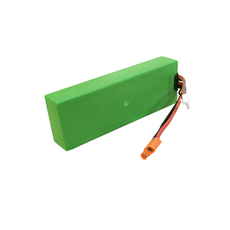 Batería de iones de litio Lifepo4 de 9,6 V y 2,2 Ah para juguetes tecnológicos inteligentes
