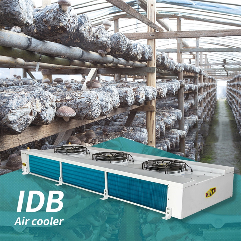 Evaporador de sistema de refrigeración de la serie IDB para invernadero de verduras