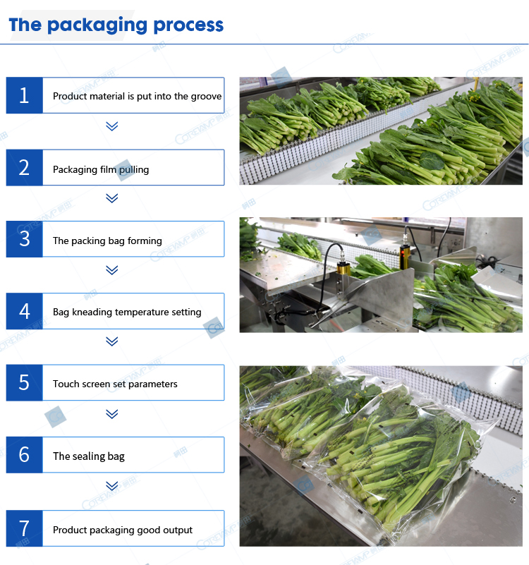 Packaging process