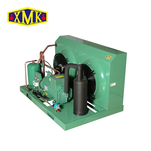 Compresor Bitzer de la unidad de refrigeración de almacenamiento en frío 4EES-4Y