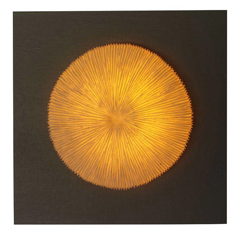 Placa de madera MDF de coral acanalado de arte de pared con luz LED