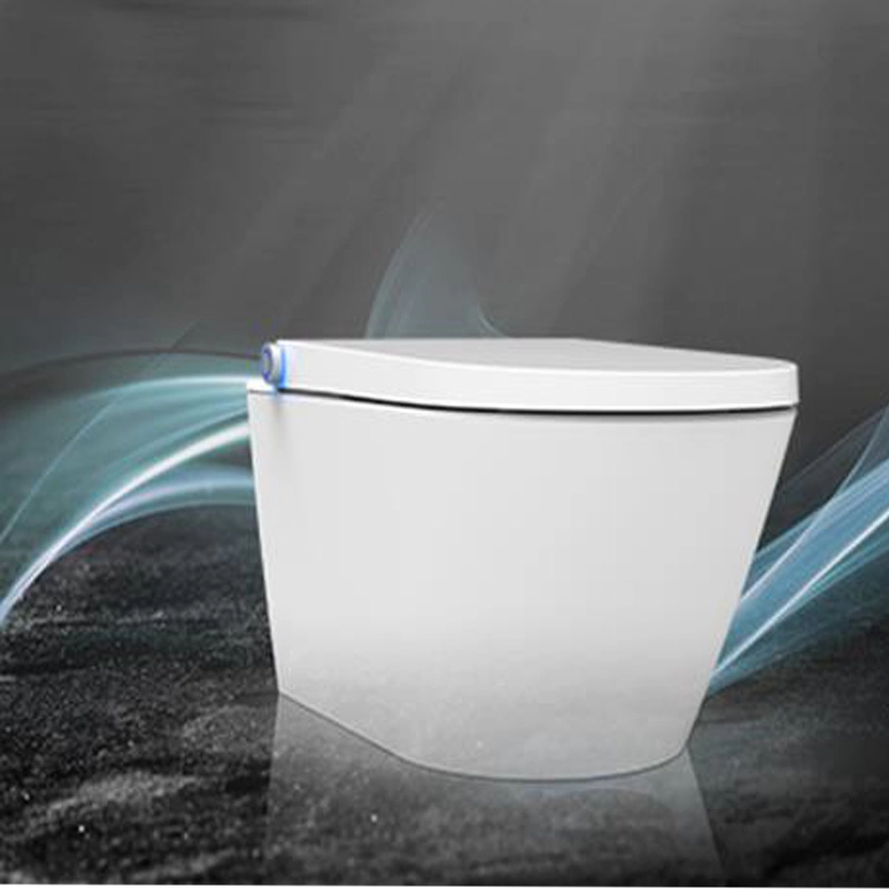 Inteligente DUSCH WC ducha bidé Asiento de inodoro bidé blanco asiento de inodoro en diseño sin rebordes