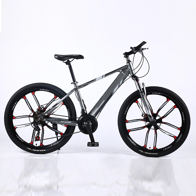 Venta caliente personalizada suspensión completa bicicleta de montaña de 21 velocidades