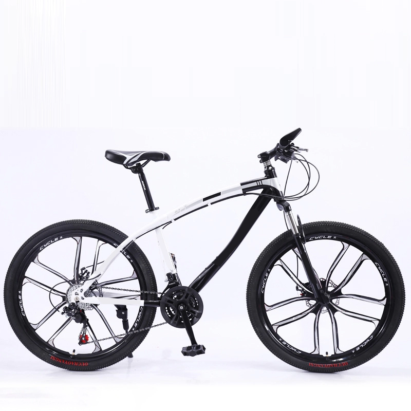Bicicleta de montaña Mtb de suspensión completa de 26 pulgadas de varias velocidades personalizada