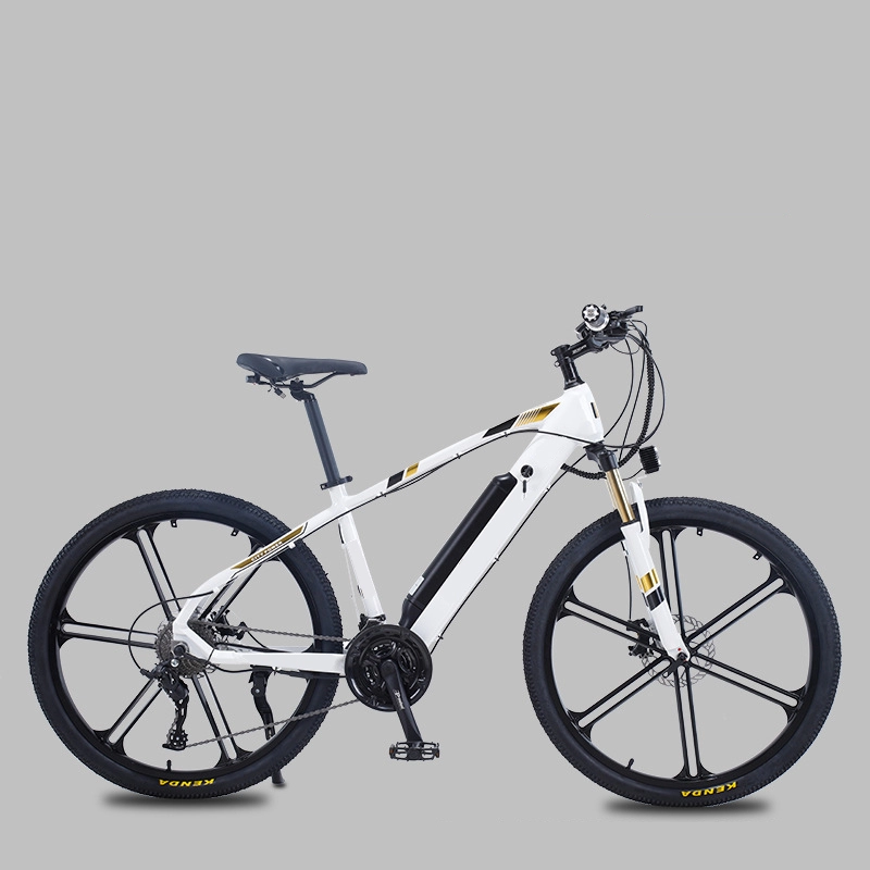 36V 48V 250W pedal assist e power batería ciclo hombre 350W bicicleta eléctrica 750W adultos ebike mejor bicicleta de montaña eléctrica para la venta