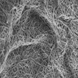Precio de nanotubos de carbono de pared simple SWCNT de alta conductividad