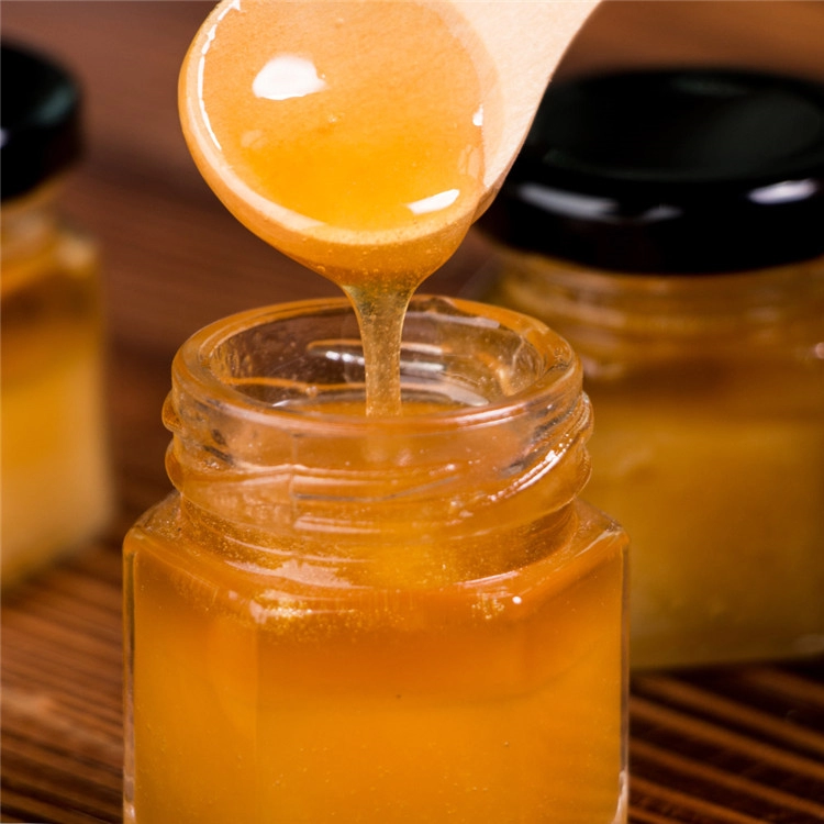 Miel pura de colza certificada HALAL HACCP al por mayor