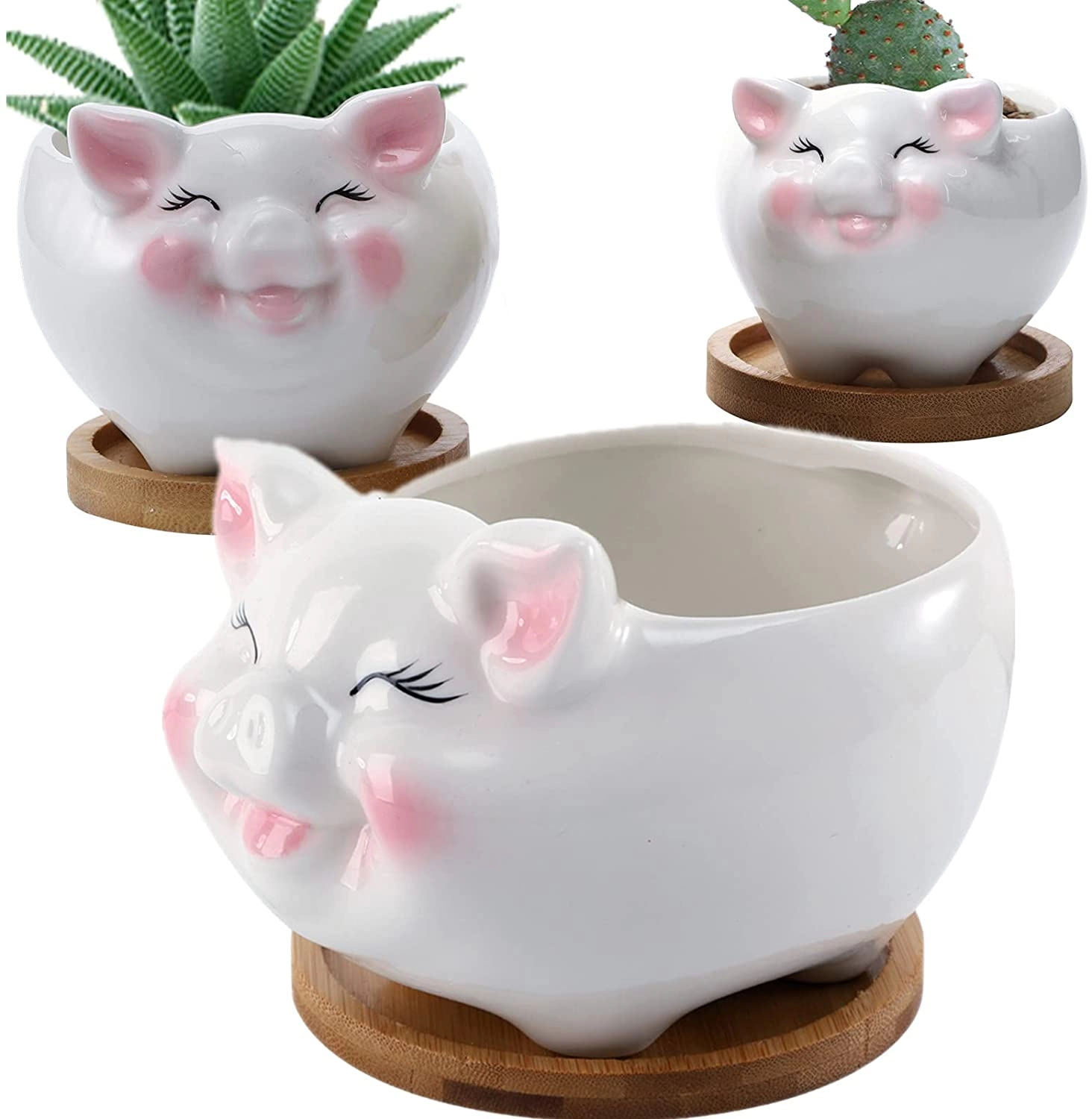 Lindo recipiente de cerámica con forma de cerdo para suculentas con bandeja de drenaje de bambú