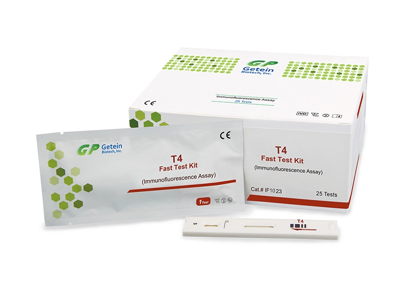 Kit de prueba rápida T4 (ensayo de inmunofluorescencia)