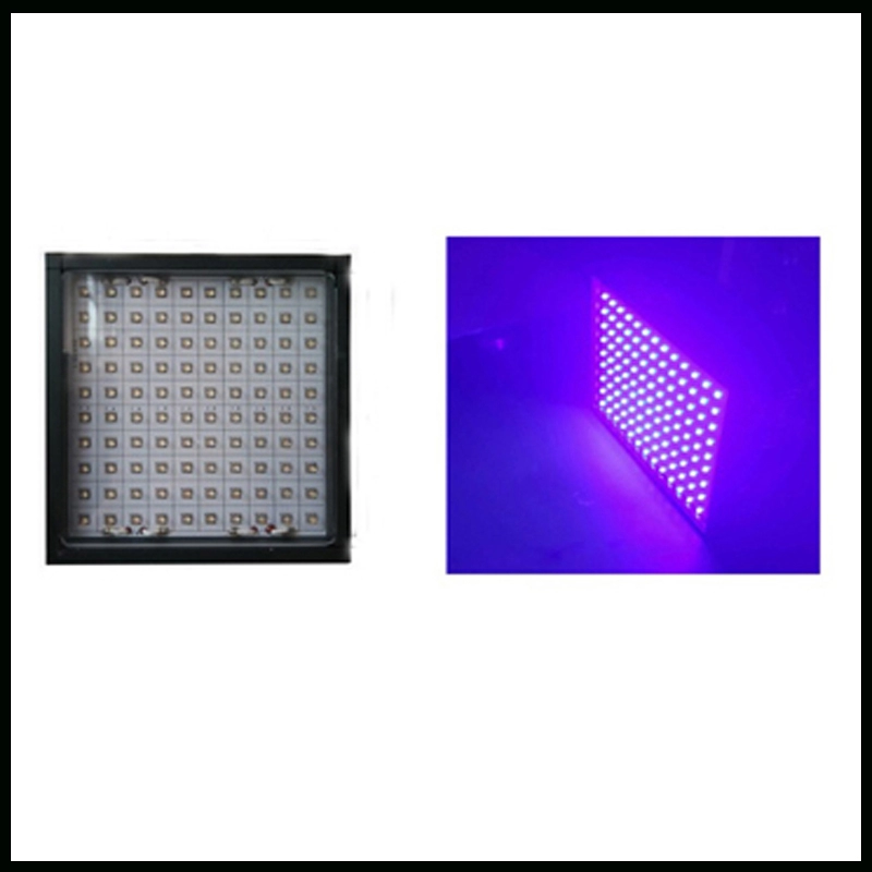 Equipo de curado LED UV de 365 nm de alta calidad Pegamento UV de secado