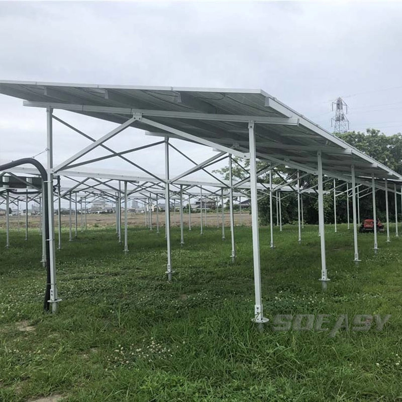 Soporte de estructura de granja solar de venta caliente