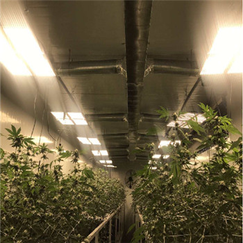 Luz LED de crecimiento de plantas para interiores impermeable IP65 de alta eficiencia