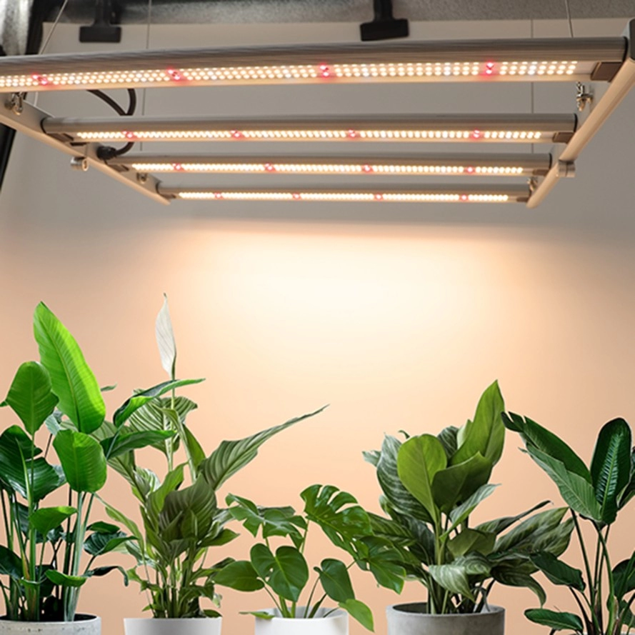 Mini luz LED de crecimiento para aplicaciones en tiendas de campaña con 240 vatios