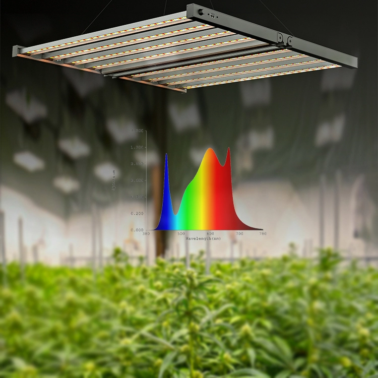 Luz led de cultivo de plantas de interior para cultivo de cannabis de 800w