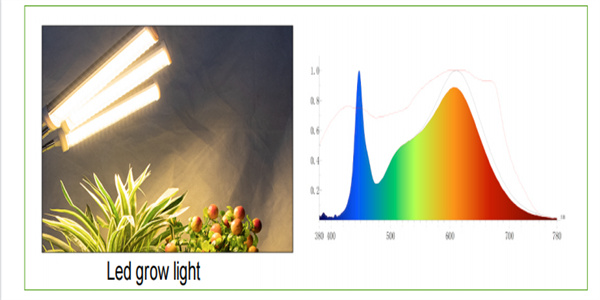 the spectrum of grow light