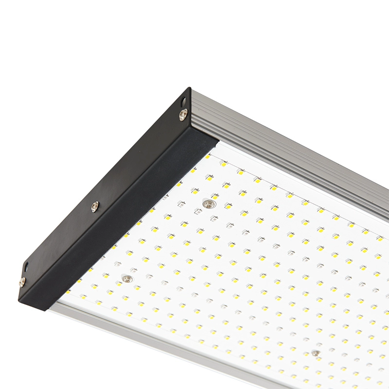 Nuevo espectro completo de reemplazo de luces de crecimiento hidropónico 300w Led para plantas de interior