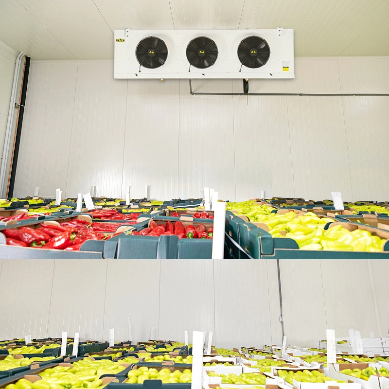 Refrigerador 9.18KW de la unidad del evaporador de la conservación en cámara frigorífica de las frutas de las verduras