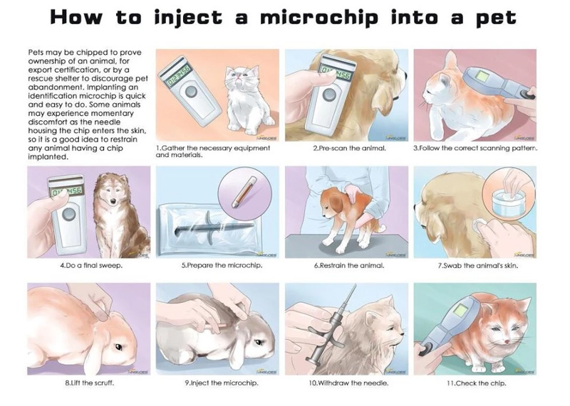 Instrucciones para mascotas con etiqueta para animales con tubo de vidrio Rfid Em4305