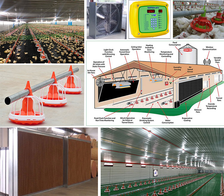 Granja de pollos prefabricada con estructura de acero