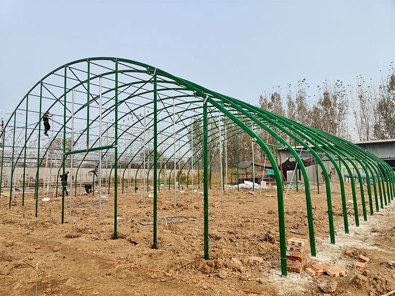 Cobertizos de cría de aves de corral con estructura de acero de bajo coste