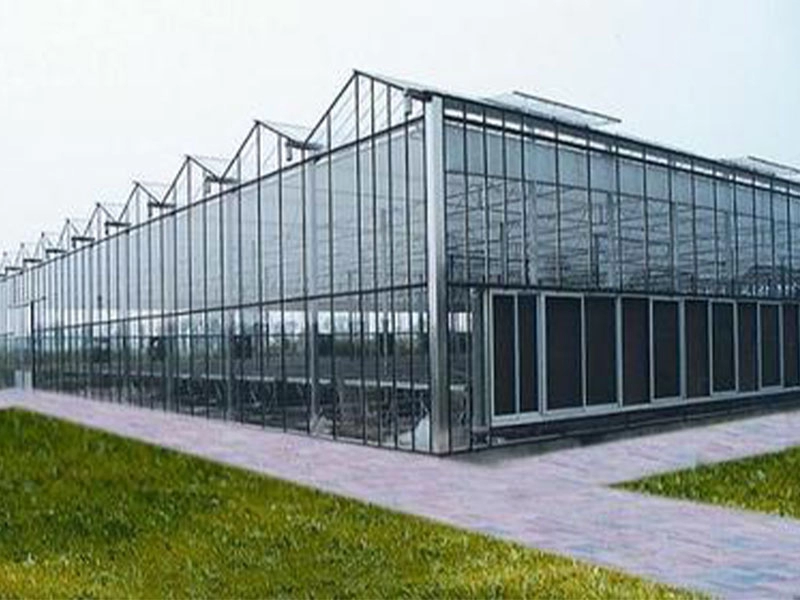 Invernadero de cristal para hortalizas y flores.