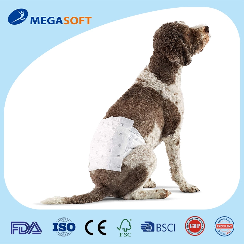Pañales desechables para perros masculinos para el cuidado de mascotas, absorbentes con prueba de fugas