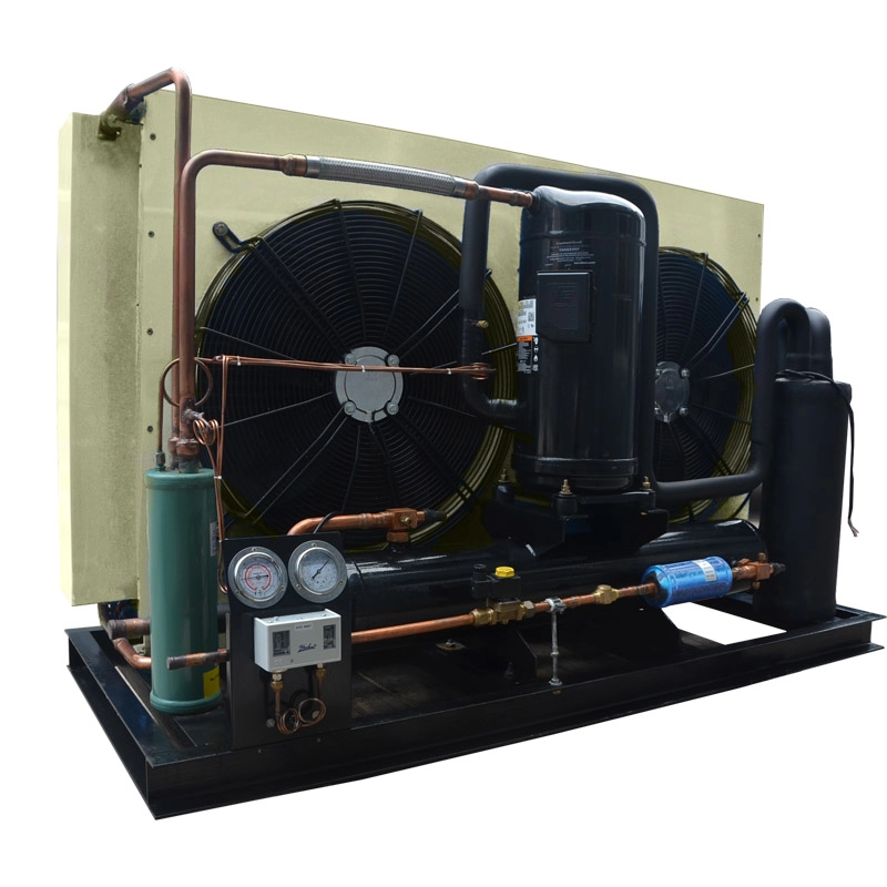 Unidad de condensación de refrigeración de 10 toneladas para cámara frigorífica